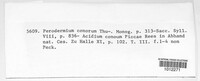 Peridermium conorum image